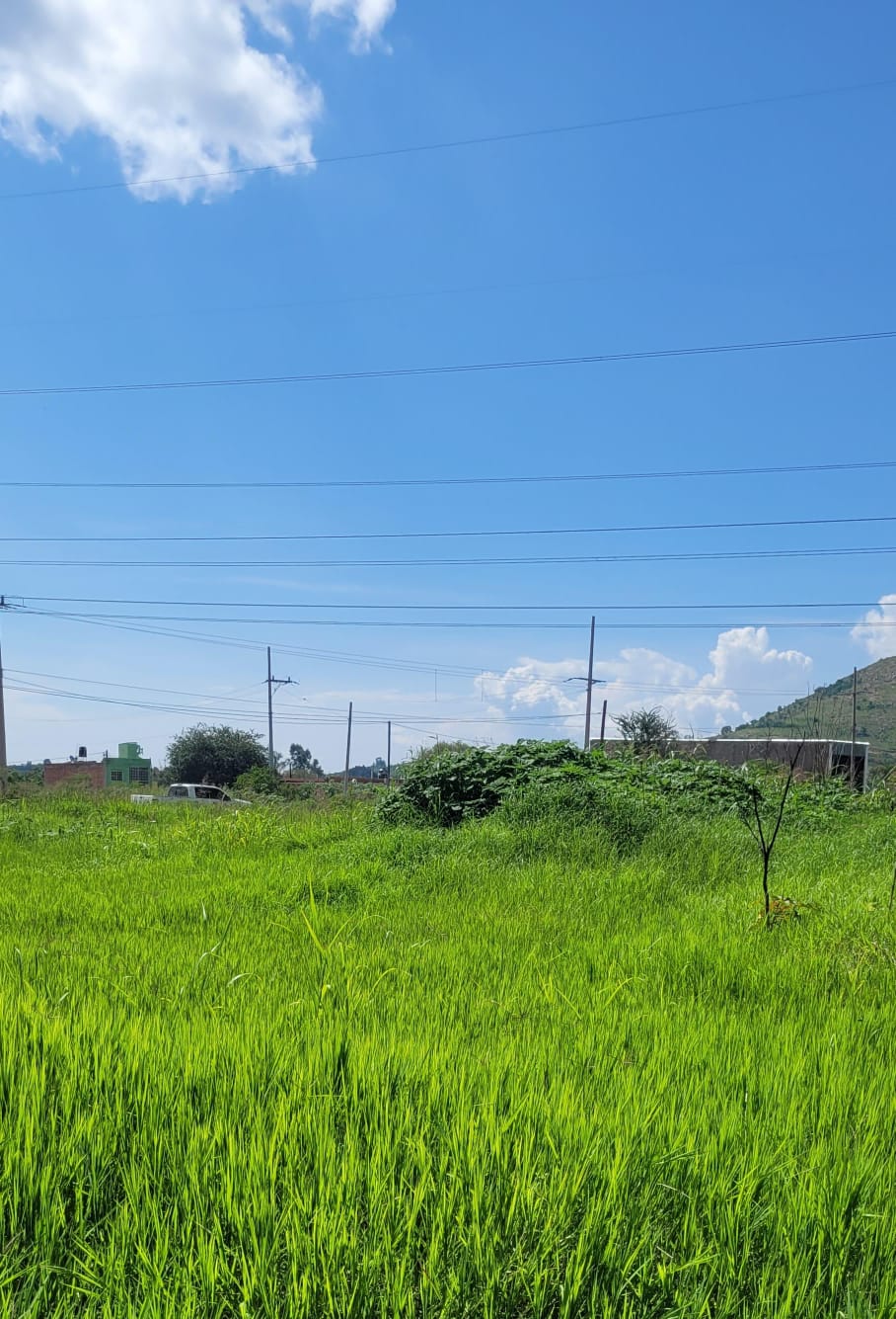 Terreno en Venta  en SANTA LUCIA, Zapopan - foto 11 de 19