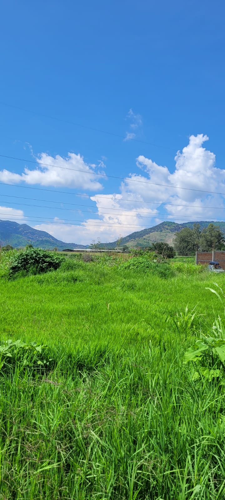 Terreno en Venta  en SANTA LUCIA, Zapopan - foto 3 de 19