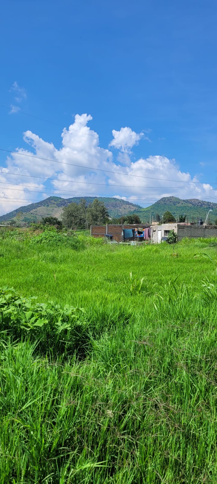 Terreno en Venta  en SANTA LUCIA, Zapopan - foto 9 de 19