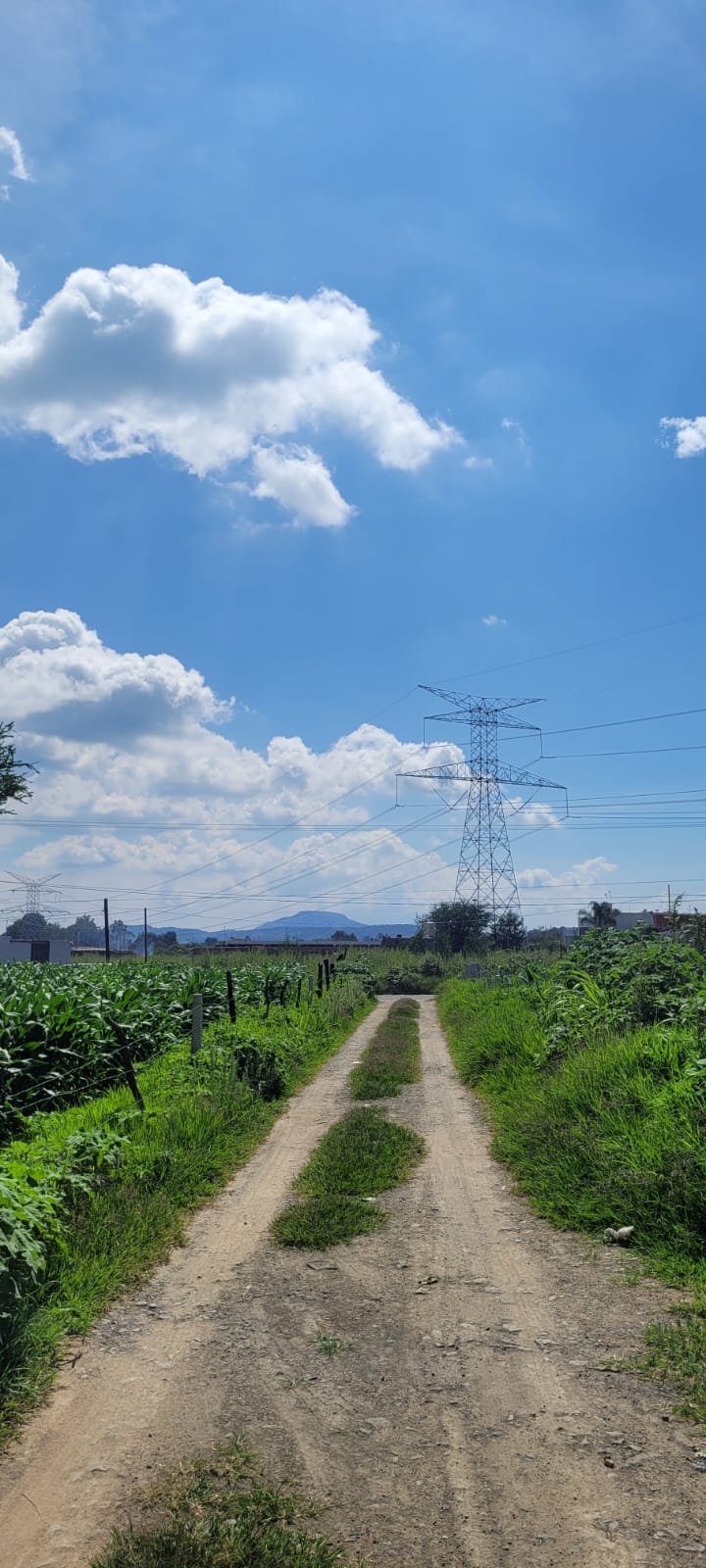 Terreno en Venta  en SANTA LUCIA, Zapopan - foto 18 de 19