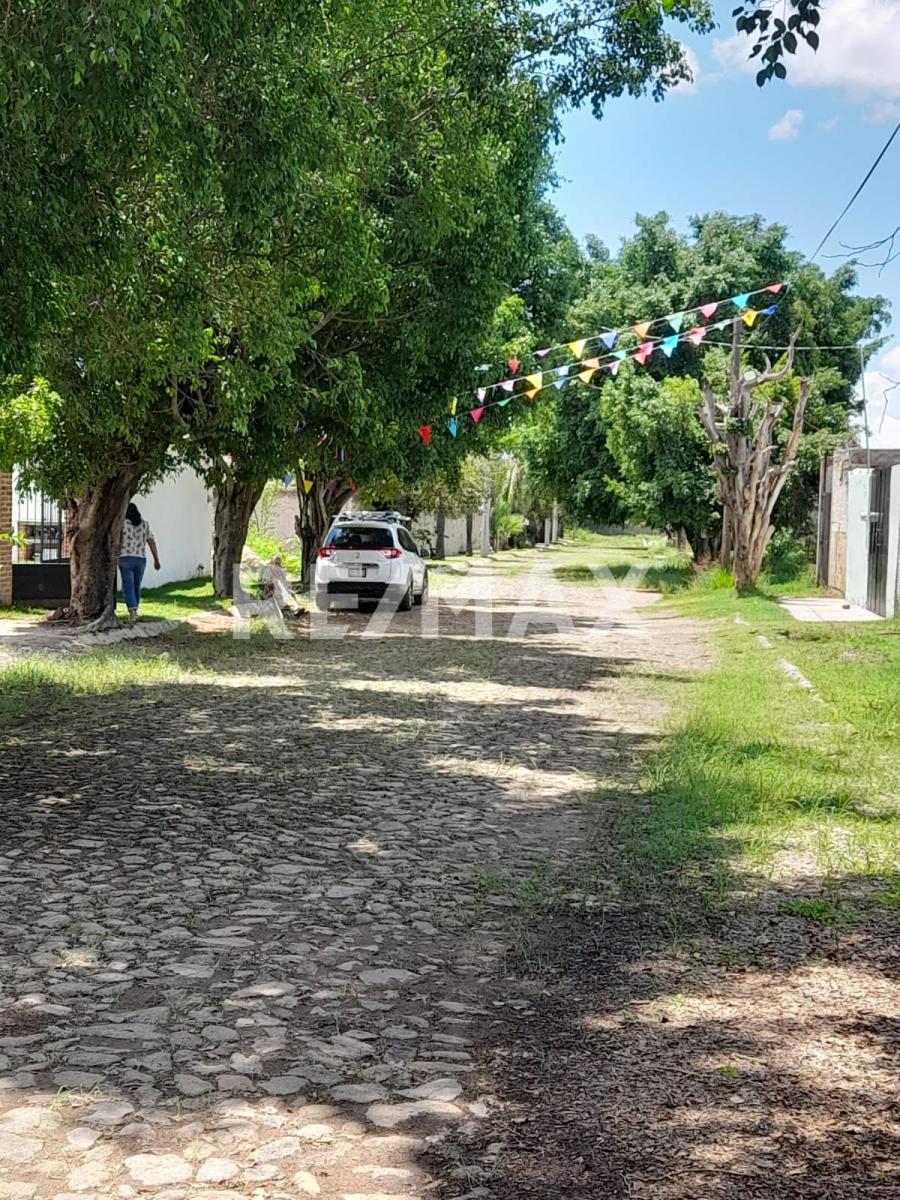 Imagen secundaria