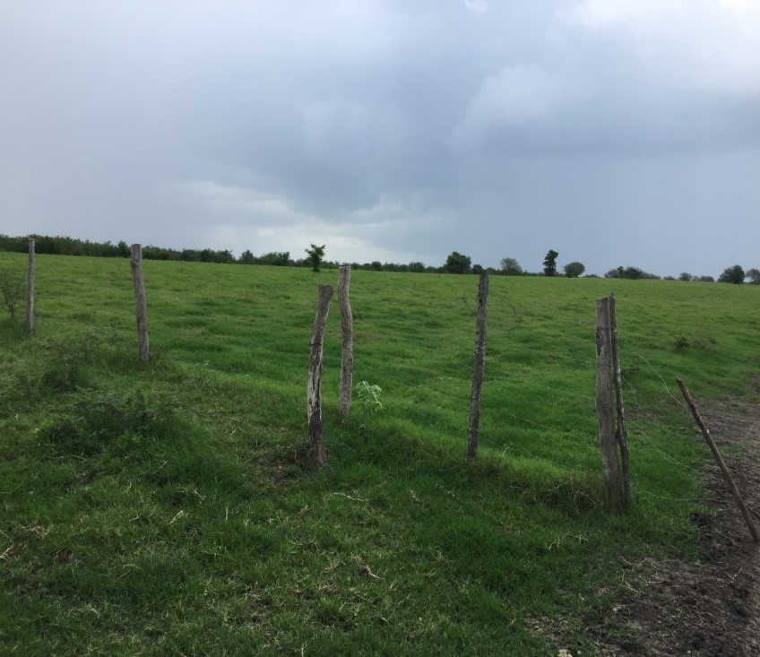 Ranch for Sale in Panuco