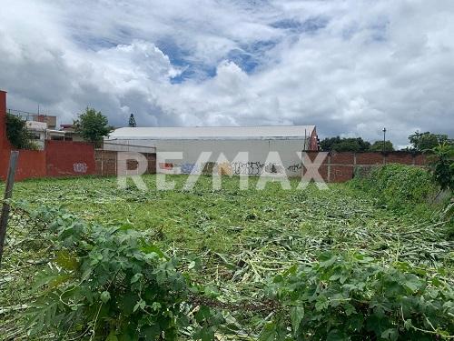 Terreno - Comercial en Renta