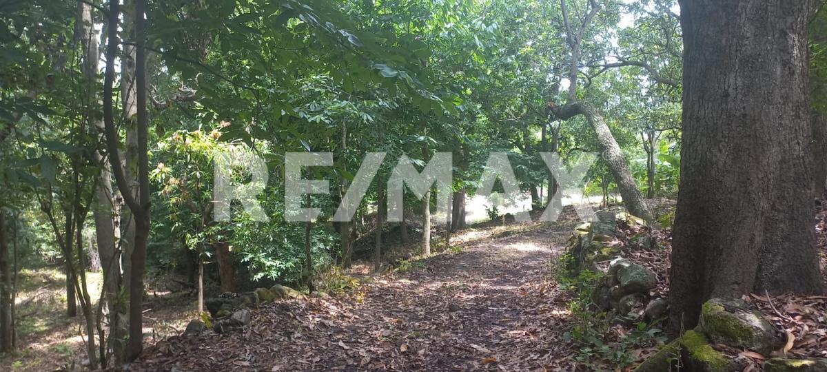 Terreno en Venta en San Francisco de Ixcatán, Zapopan - foto 36 de 45