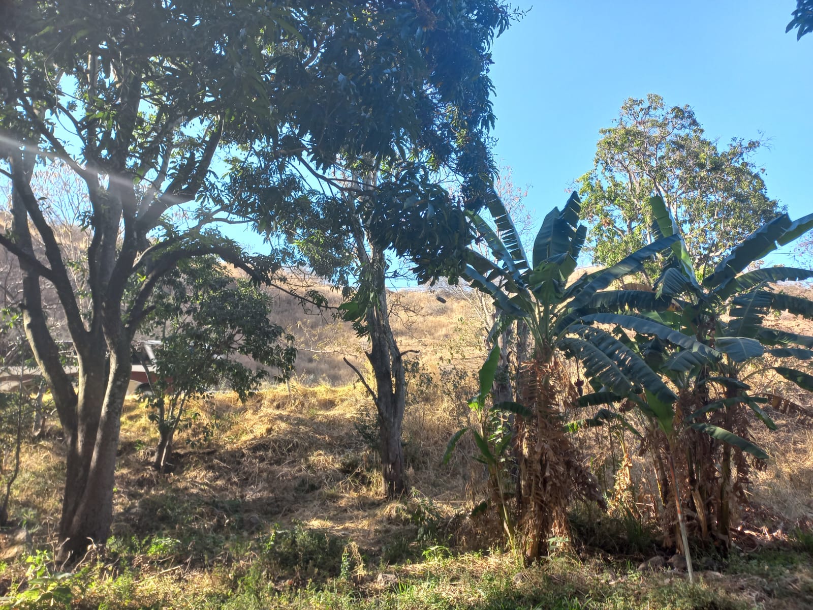 Terreno en Venta en San Francisco de Ixcatán, Zapopan - foto 3 de 45