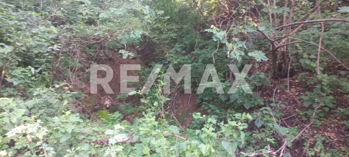 Terreno en Venta en San Francisco de Ixcatán, Zapopan - foto 19 de 45
