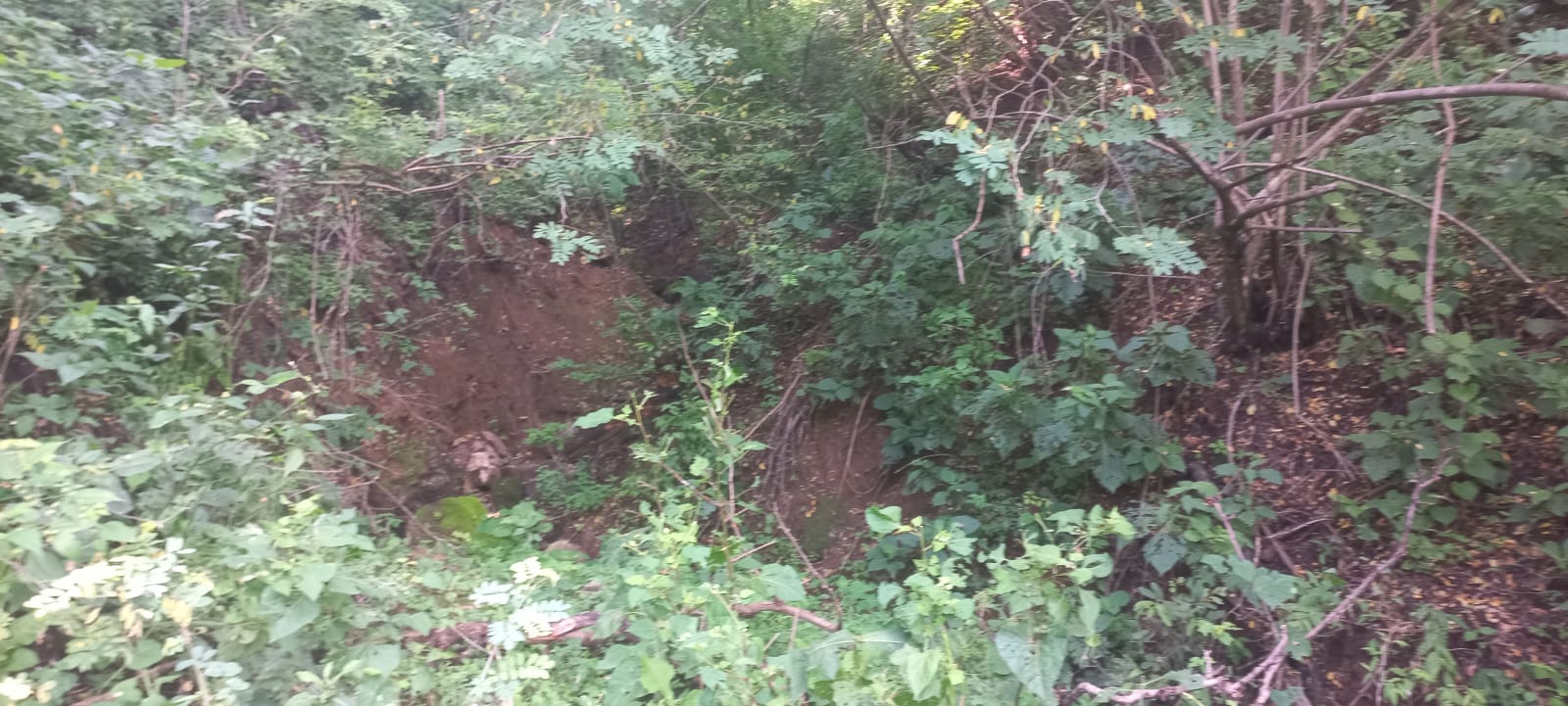 Terreno en Venta en San Francisco de Ixcatán, Zapopan - foto 19 de 45