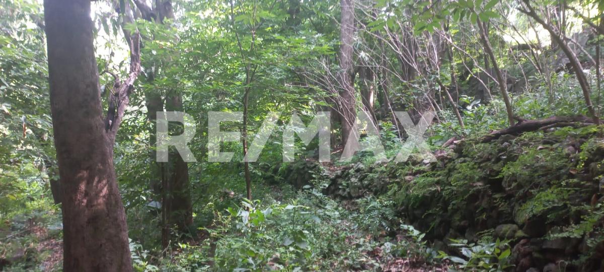Terreno en Venta en San Francisco de Ixcatán, Zapopan - foto 20 de 45