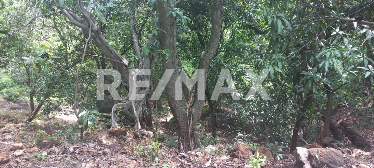 Terreno en Venta en San Francisco de Ixcatán, Zapopan - foto 44 de 45