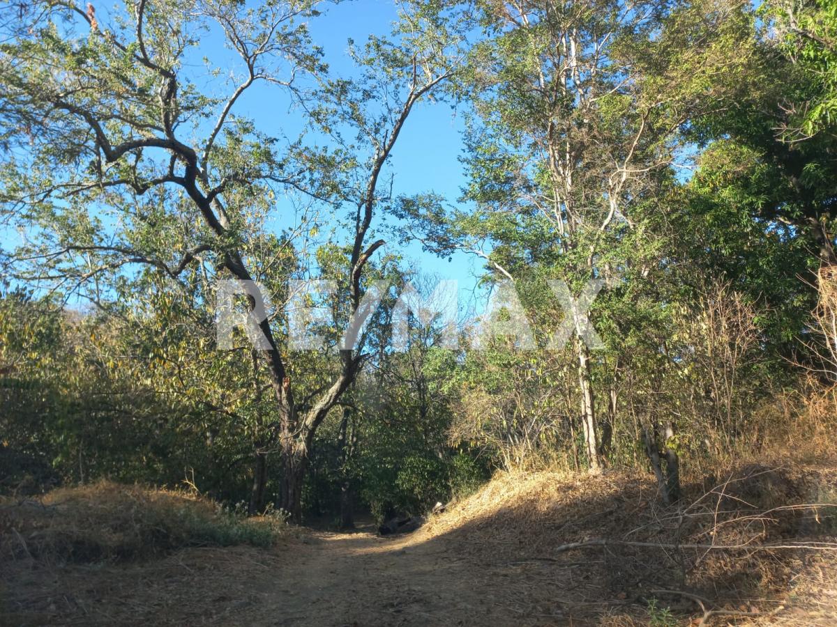 Terreno en Venta en San Francisco de Ixcatán, Zapopan - foto 8 de 45