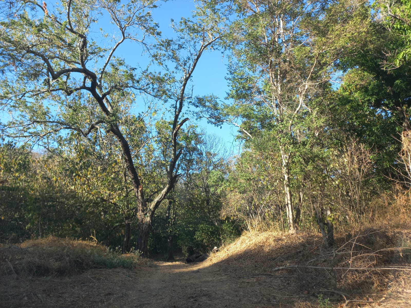 Terreno en Venta en San Francisco de Ixcatán, Zapopan - foto 8 de 45