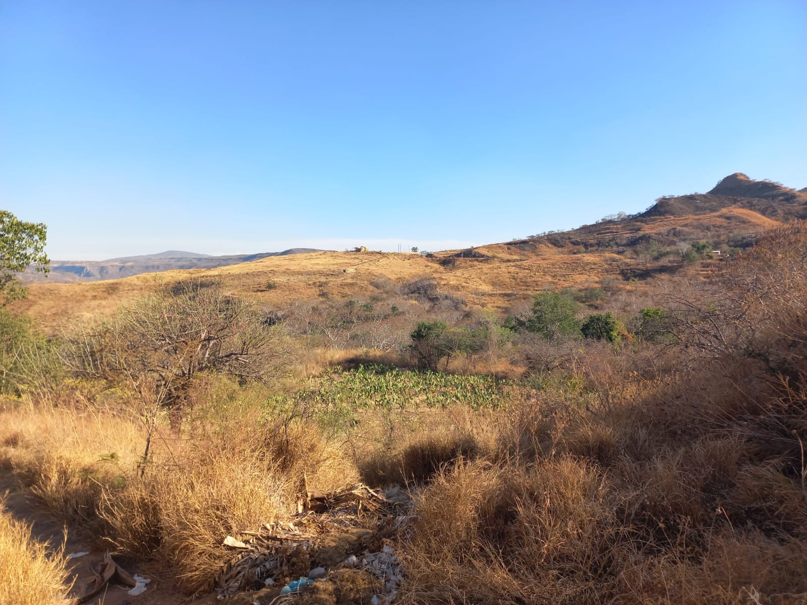 Terreno en Venta en San Francisco de Ixcatán, Zapopan - foto 9 de 45