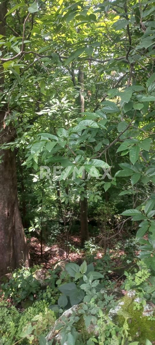 Terreno en Venta en San Francisco de Ixcatán, Zapopan - foto 30 de 45