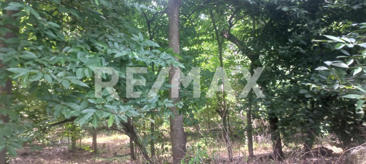 Terreno en Venta en San Francisco de Ixcatán, Zapopan - foto 25 de 45