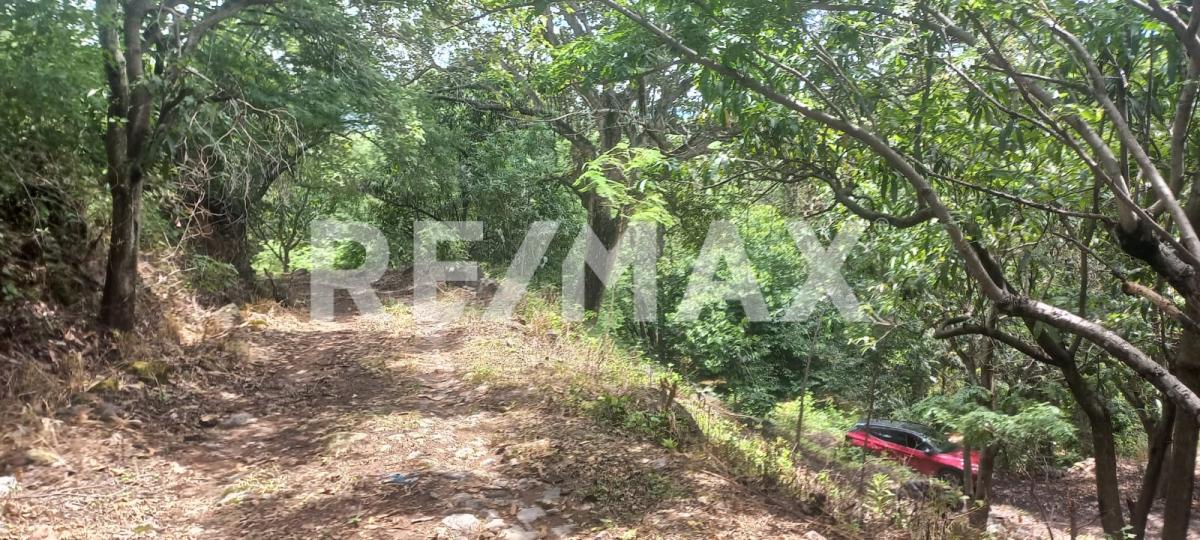 Terreno en Venta en San Francisco de Ixcatán, Zapopan - foto 43 de 45