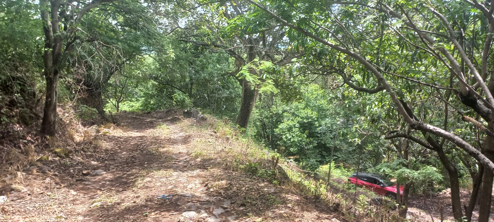 Terreno en Venta en San Francisco de Ixcatán, Zapopan - foto 43 de 45
