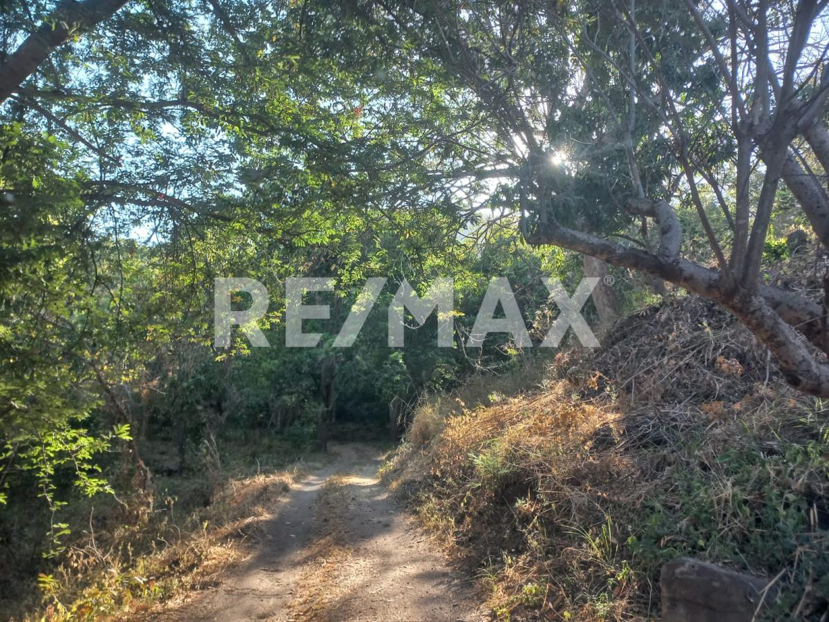 Terreno en Venta en San Francisco de Ixcatán, Zapopan - foto 6 de 45