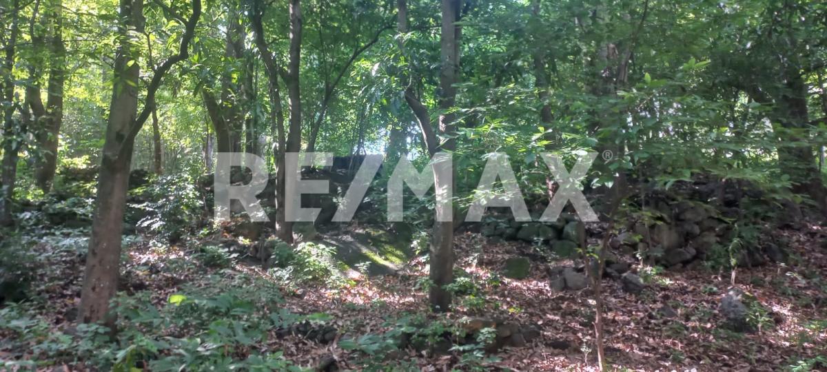 Terreno en Venta en San Francisco de Ixcatán, Zapopan - foto 23 de 45