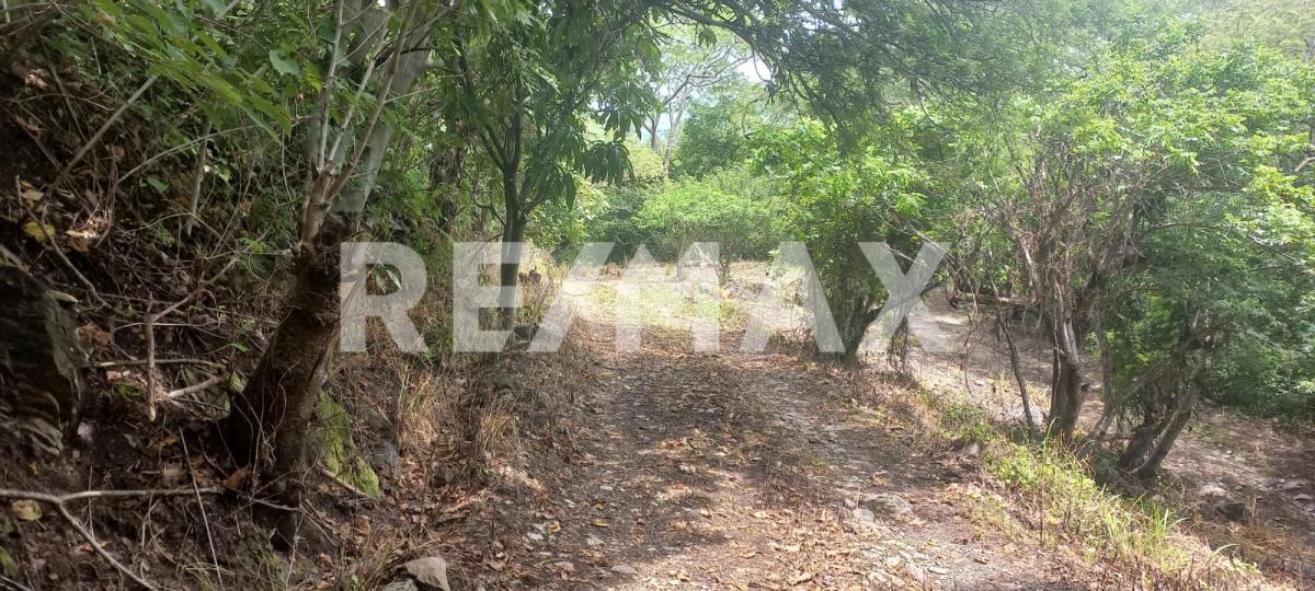 Terreno en Venta en San Francisco de Ixcatán, Zapopan - foto 42 de 45