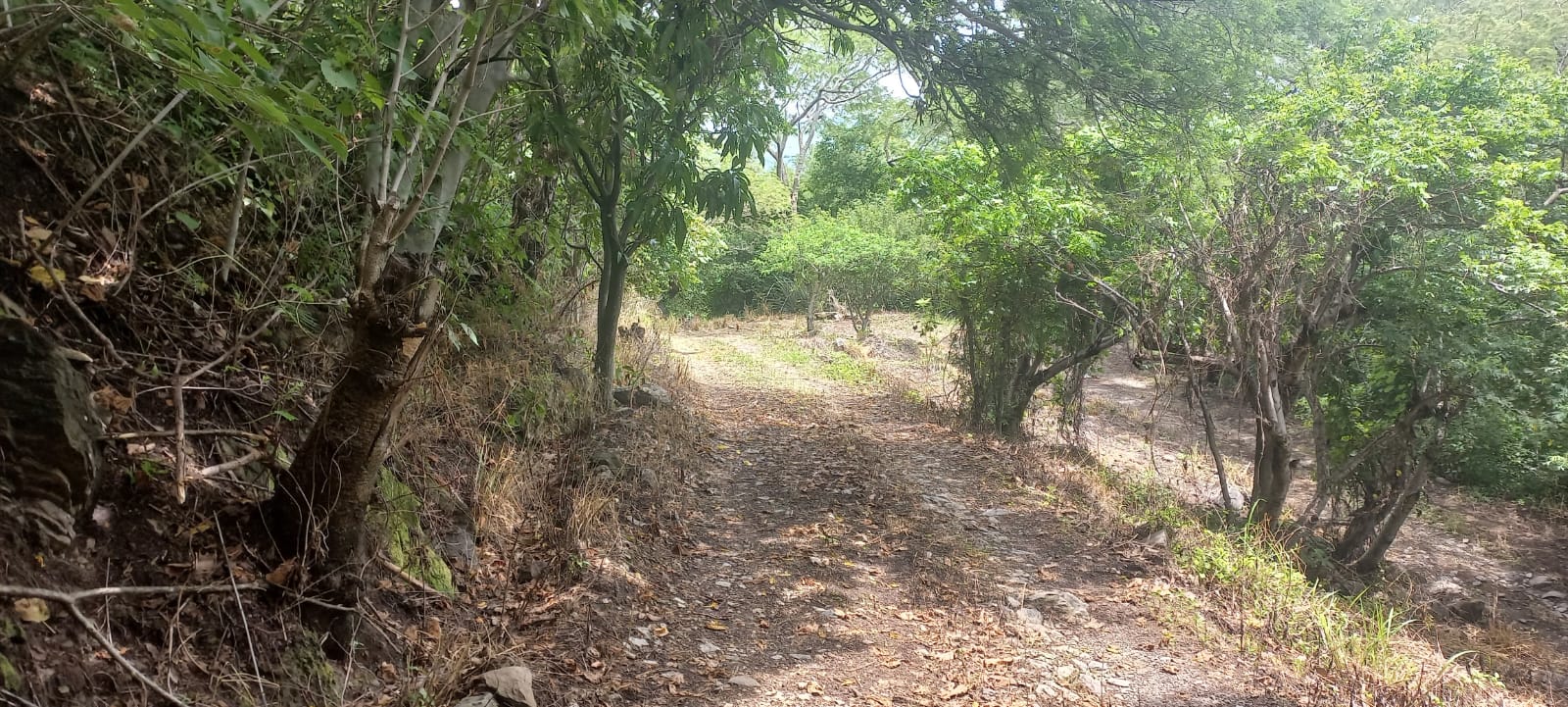 Terreno en Venta en San Francisco de Ixcatán, Zapopan - foto 42 de 45