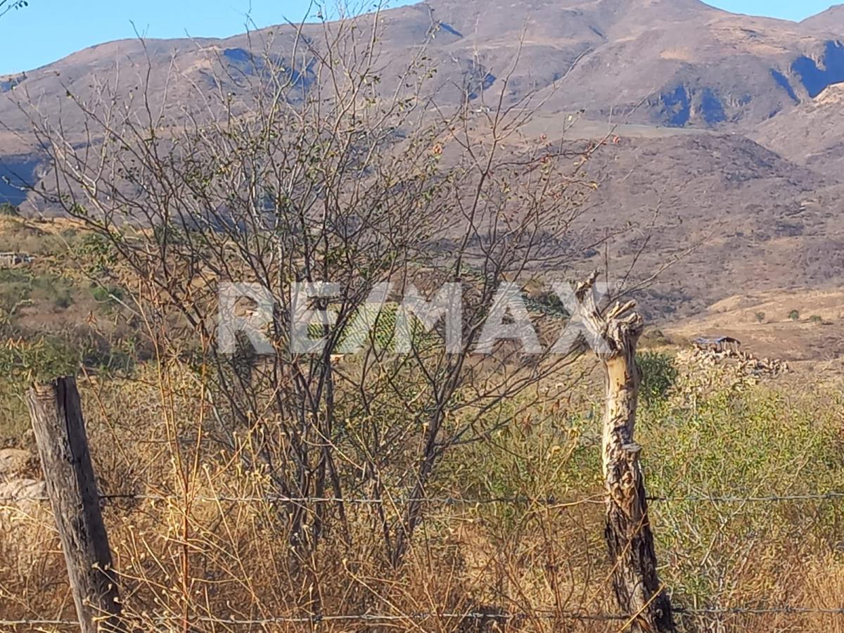 Terreno en Venta en San Francisco de Ixcatán, Zapopan - foto 12 de 45