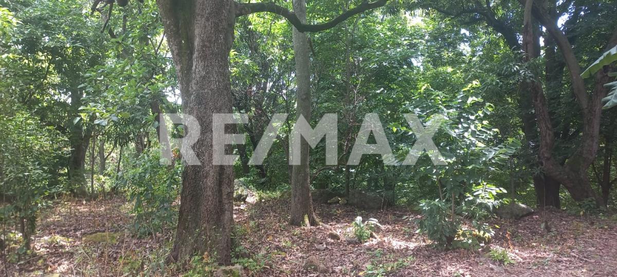 Terreno en Venta en San Francisco de Ixcatán, Zapopan - foto 34 de 45