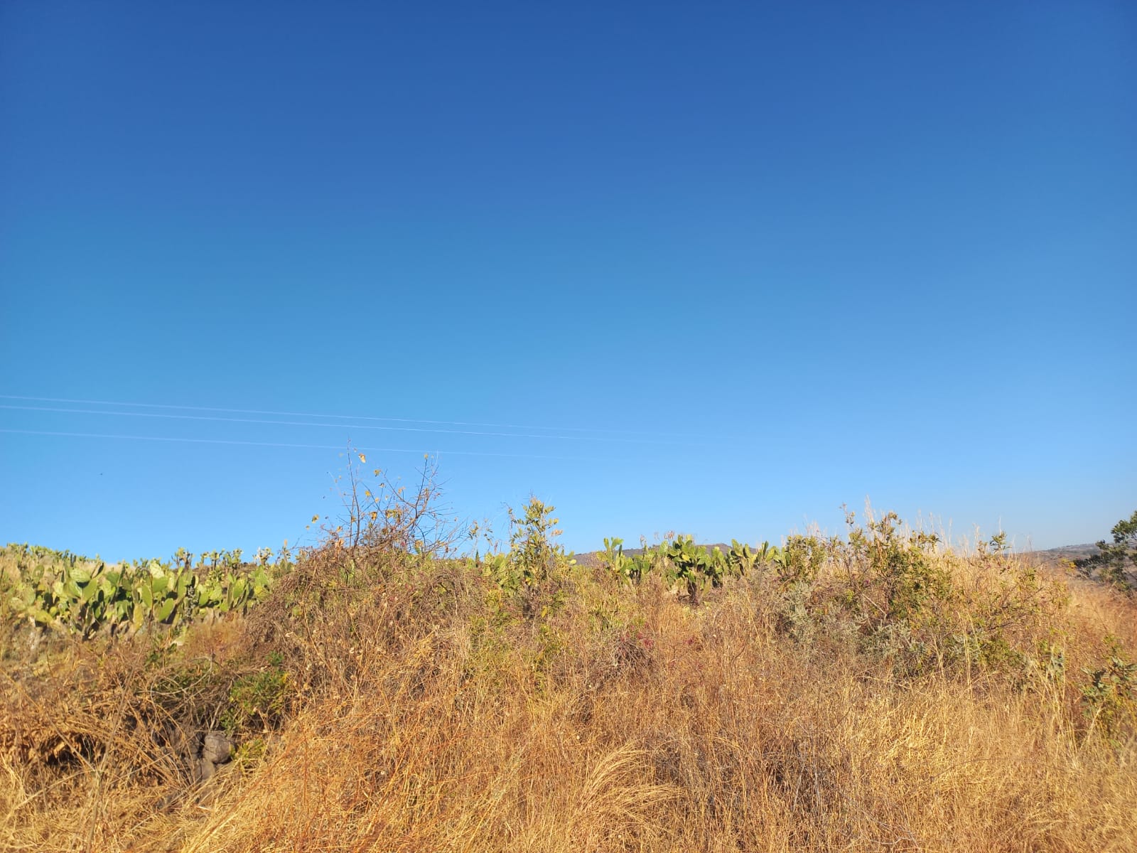 Terreno en Venta en San Francisco de Ixcatán, Zapopan - foto 2 de 45