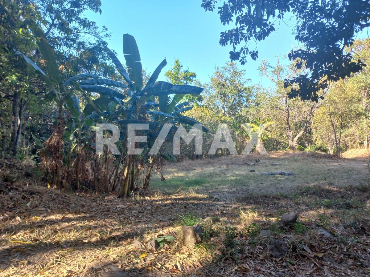 Terreno en Venta en San Francisco de Ixcatán, Zapopan - foto 13 de 45