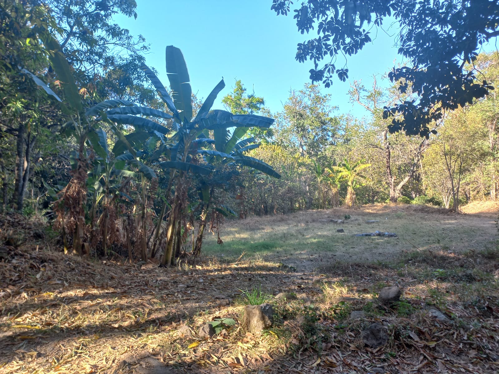 Terreno en Venta en San Francisco de Ixcatán, Zapopan - foto 13 de 45