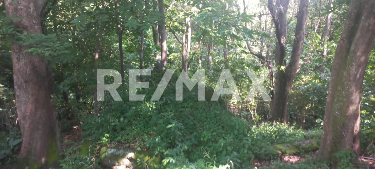 Terreno en Venta en San Francisco de Ixcatán, Zapopan - foto 26 de 45