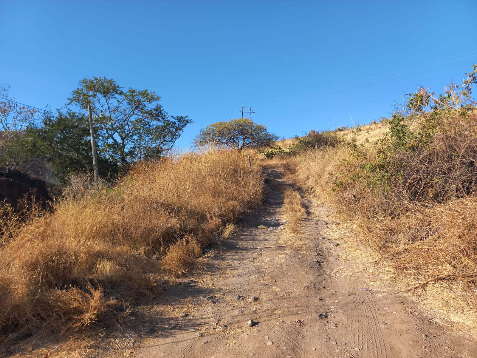 Terreno en Venta