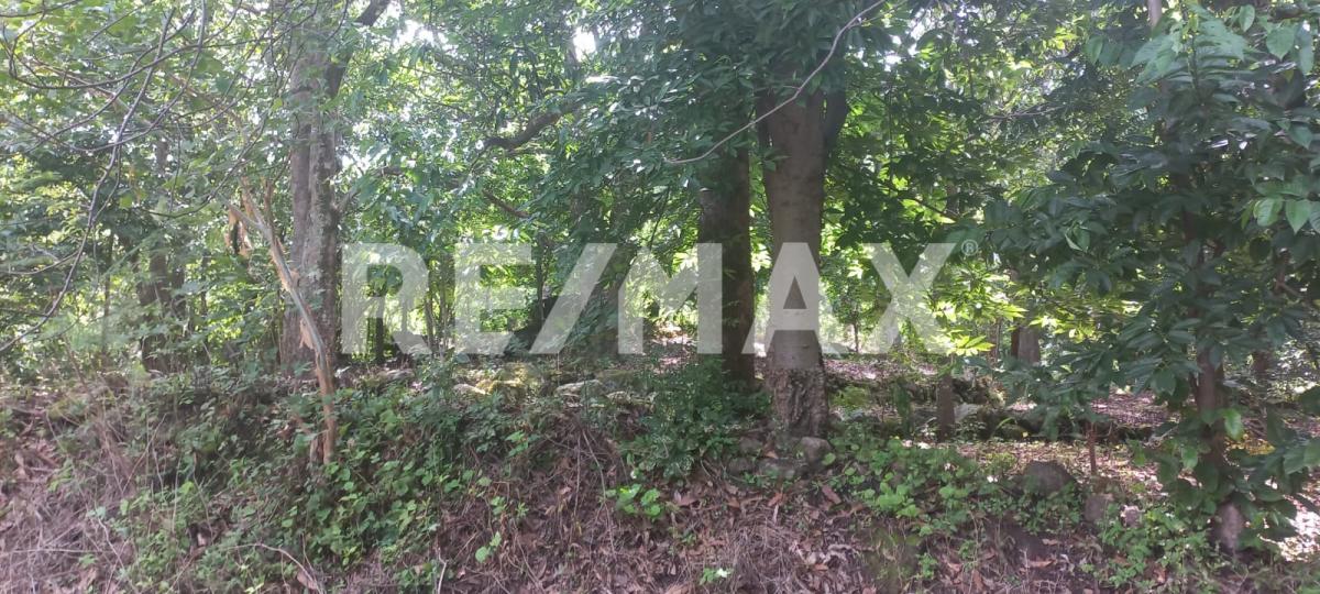 Terreno en Venta en San Francisco de Ixcatán, Zapopan - foto 37 de 45