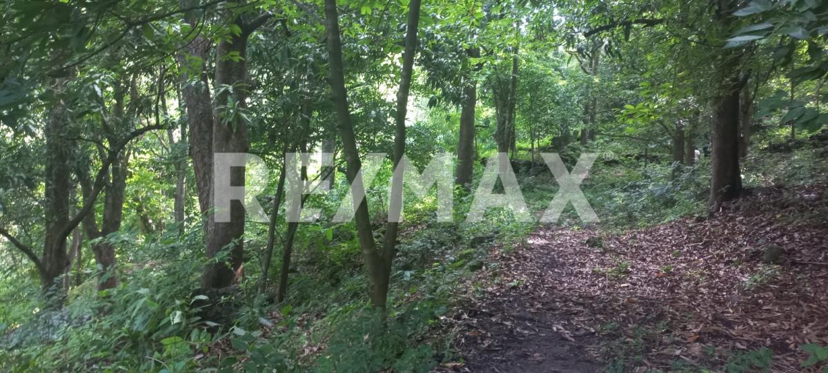 Terreno en Venta en San Francisco de Ixcatán, Zapopan - foto 21 de 45