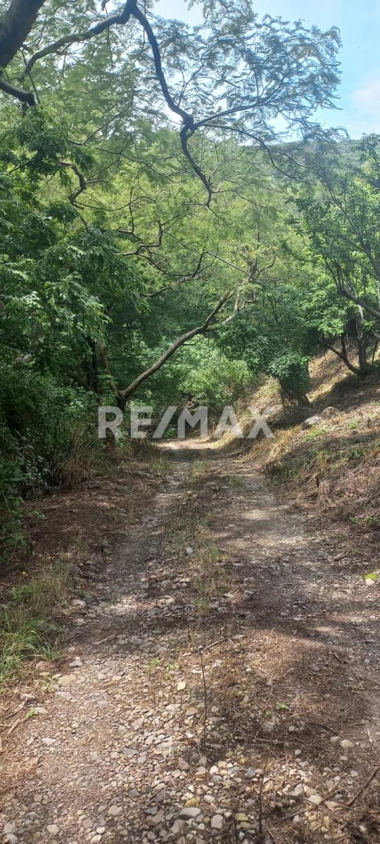 Terreno en Venta en San Francisco de Ixcatán, Zapopan - foto 41 de 45