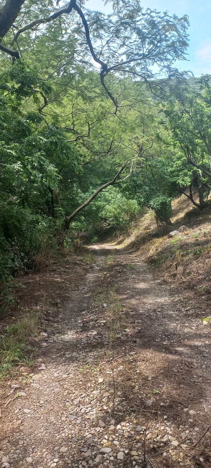 Terreno en Venta en San Francisco de Ixcatán, Zapopan - foto 41 de 45