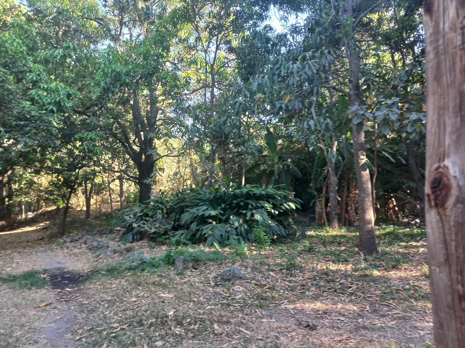 Terreno en Venta en San Francisco de Ixcatán, Zapopan - foto 5 de 45