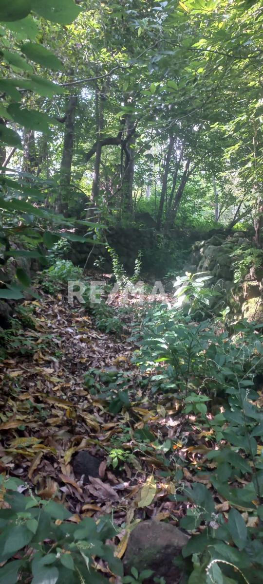 Terreno en Venta en San Francisco de Ixcatán, Zapopan - foto 22 de 45