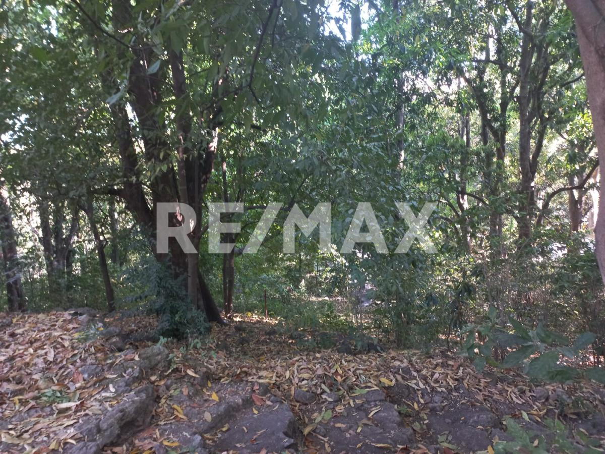 Terreno en Venta en San Francisco de Ixcatán, Zapopan - foto 7 de 45