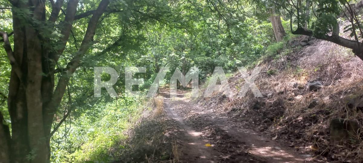 Terreno en Venta en San Francisco de Ixcatán, Zapopan - foto 40 de 45
