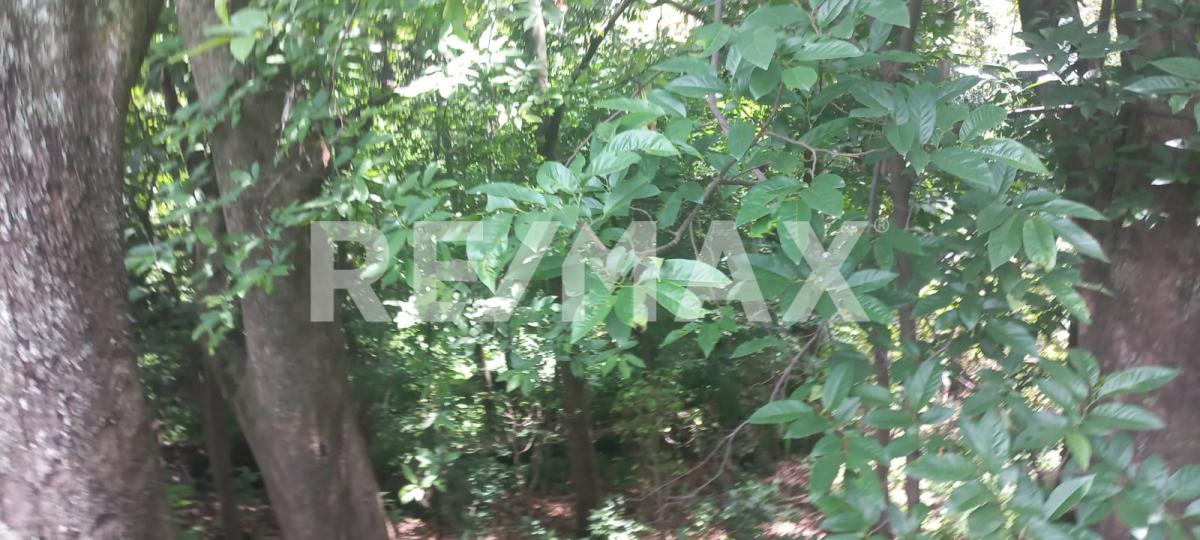 Terreno en Venta en San Francisco de Ixcatán, Zapopan - foto 31 de 45