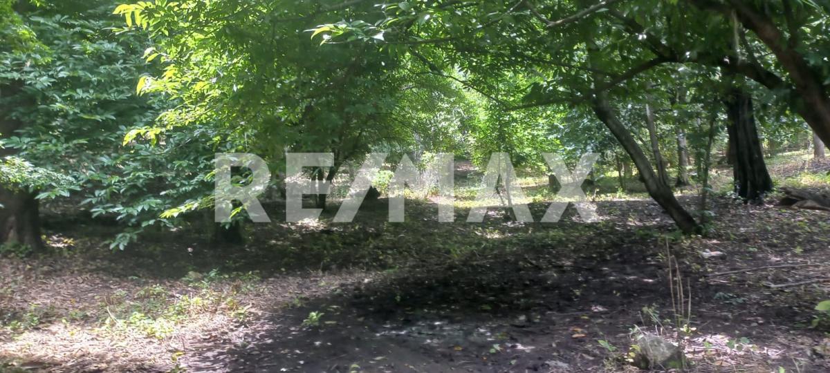 Terreno en Venta en San Francisco de Ixcatán, Zapopan - foto 28 de 45