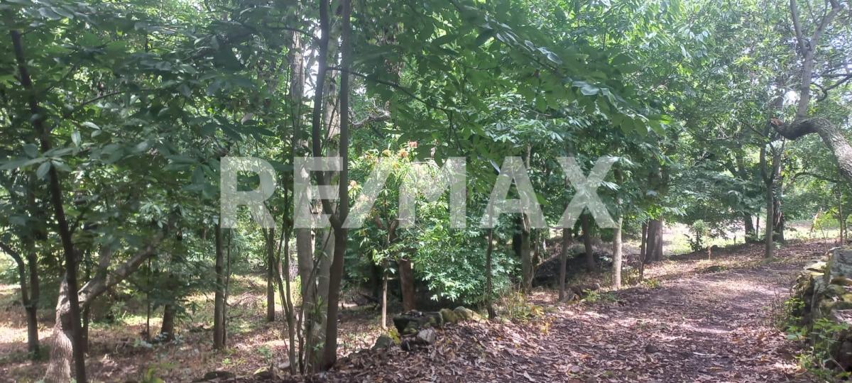 Terreno en Venta en San Francisco de Ixcatán, Zapopan - foto 45 de 45