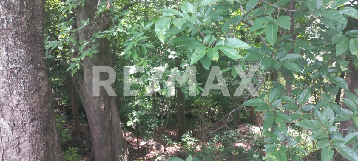 Terreno en Venta en San Francisco de Ixcatán, Zapopan - foto 33 de 45
