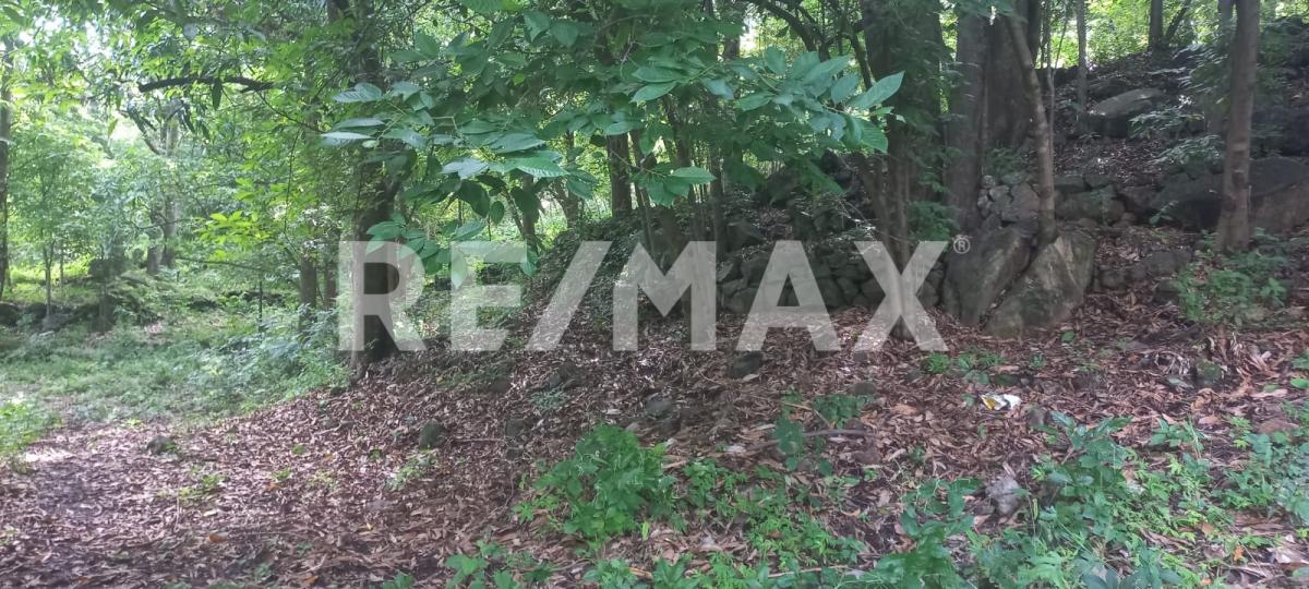 Terreno en Venta en San Francisco de Ixcatán, Zapopan - foto 17 de 45