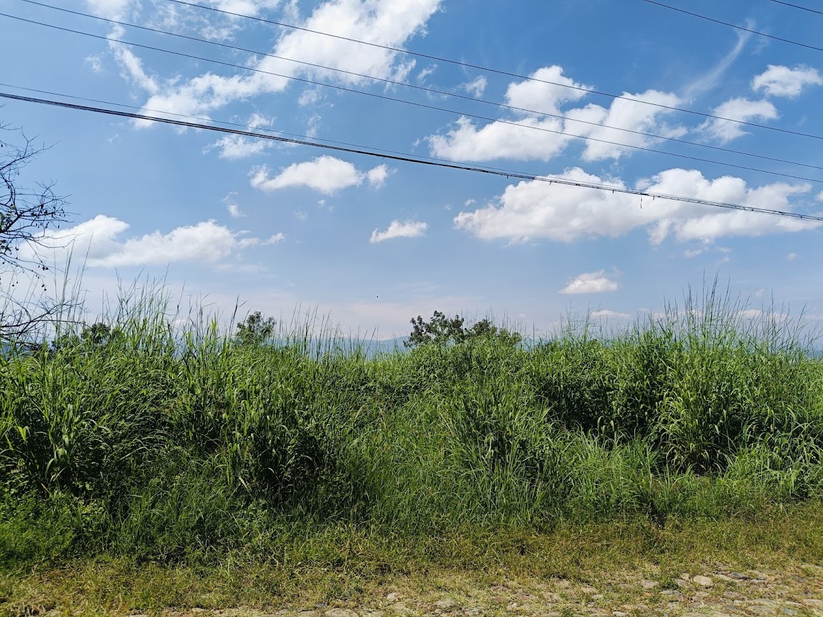 Terreno en Venta en Fraccionamiento Granjas Maravilla en Acatlan de Juárez, Acatlán de Juárez - foto 4 de 8