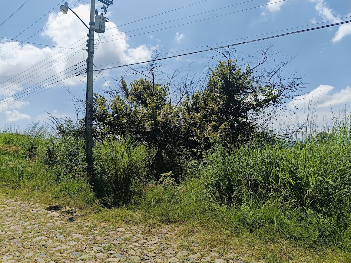 Terreno en Venta en Fraccionamiento Granjas Maravilla en Acatlan de Juárez, Acatlán de Juárez - foto 3 de 8