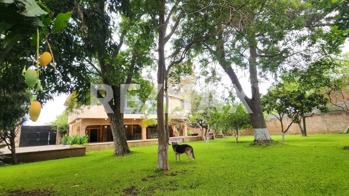 Imagen secundaria
