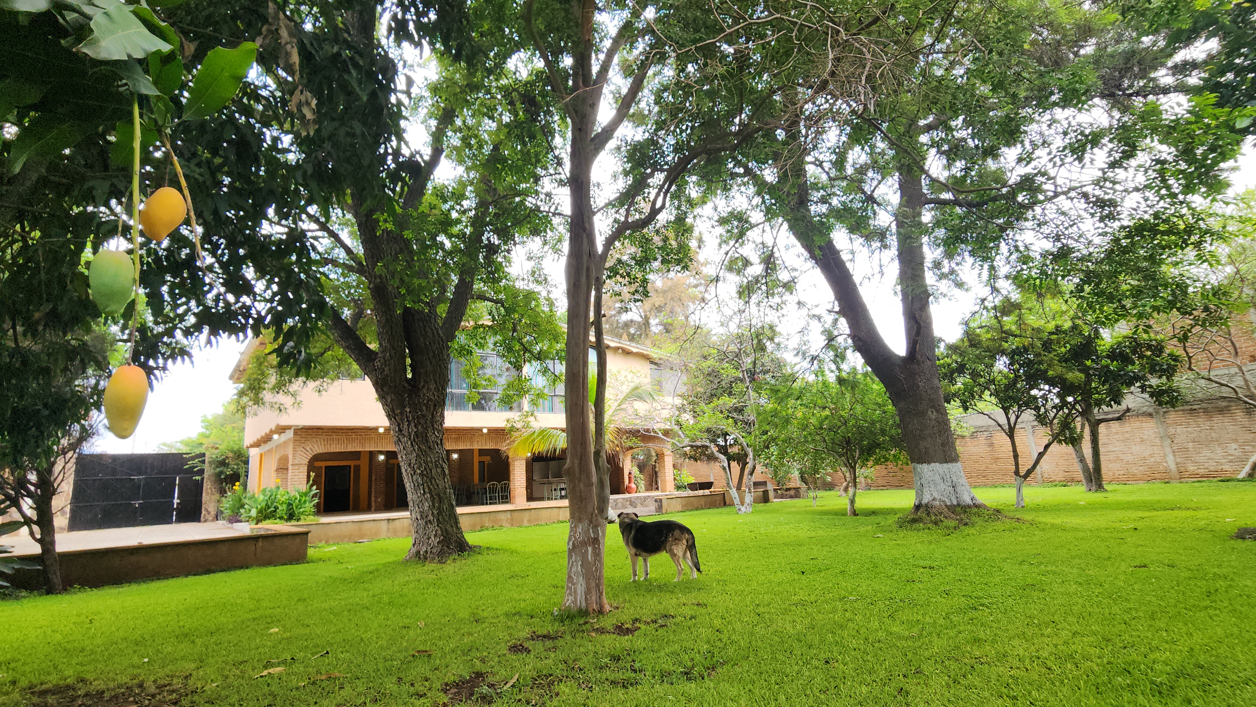 Casa en Venta  en El Arenal, El Arenal - foto 13 de 19