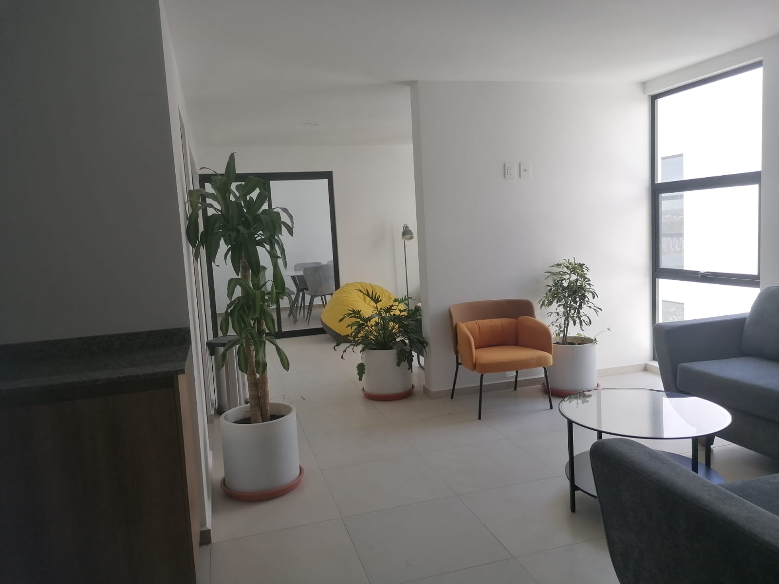DEPARTAMENTOS EN PREVENTA EN LA COLONIA MODERNA en MODERNA, Guadalajara - foto 27 de 29