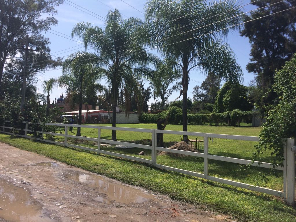 Terreno en Venta  en Ixtlahuacan de los Membrillos, Ixtlahuacán de los Membrillos - foto 5 de 10